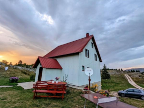 Apartmani Laušević, Žabljak